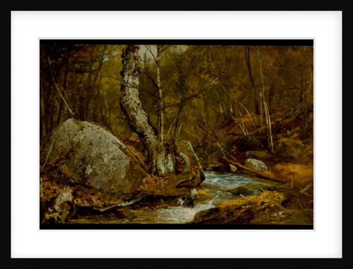 Woodland Interior, c.1850-55 by John Frederick Kensett