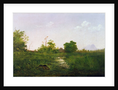 A sounder of warthogs in Sindolia Tank, Nasirabad Khandesh by Lt.-Colonel George Dudley Carleton