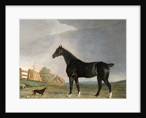 A dark bay horse and a terrier in a landscape by Edwin Cooper