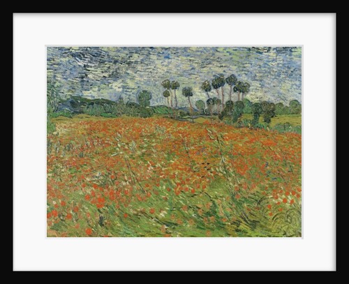Field of Poppies, Auvers-sur-Oise, 1890 by Vincent van Gogh