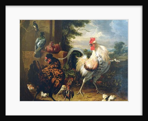 Farmyard fowl by Melchior de Hondecoeter