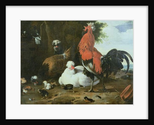 Farmyard fowls with pigeons by Melchior de Hondecoeter