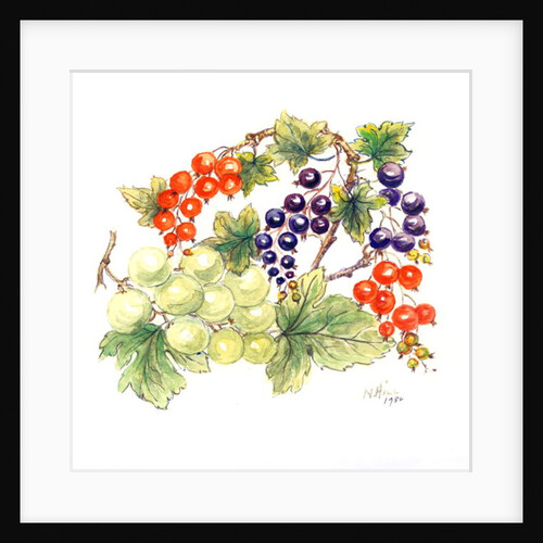 Black and Red Currants with Green Grapes, 1986 by Nell Hill