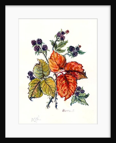Bramble by Nell Hill