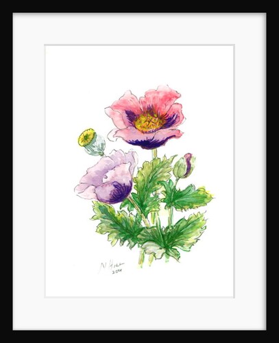 Opium Poppy, 2001 by Nell Hill