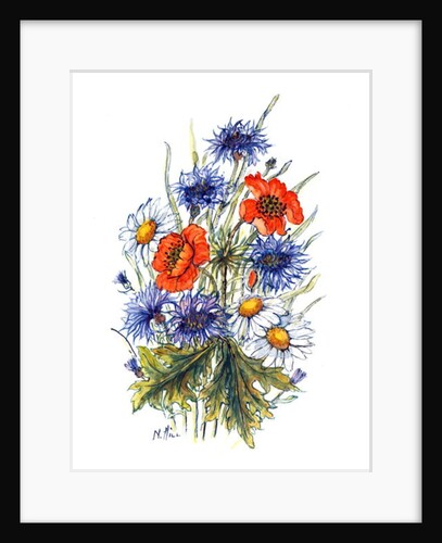 Cornflower, Poppy and Ox-eye Daisy by Nell Hill