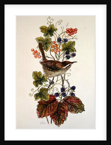 Wren on a spray of berries by Nell Hill