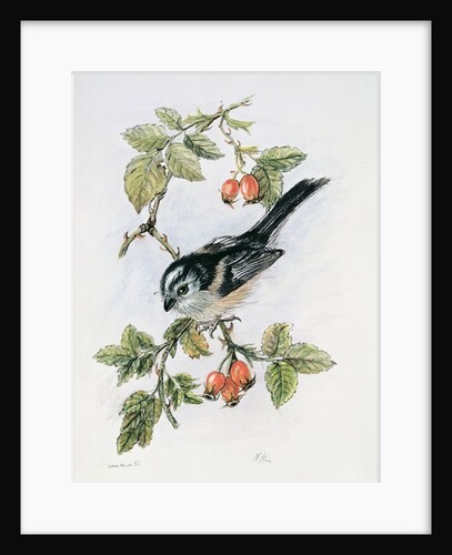 Long-tailed tit and rosehips by Nell Hill