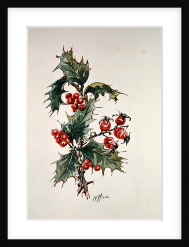 Holly and rosehips by Nell Hill