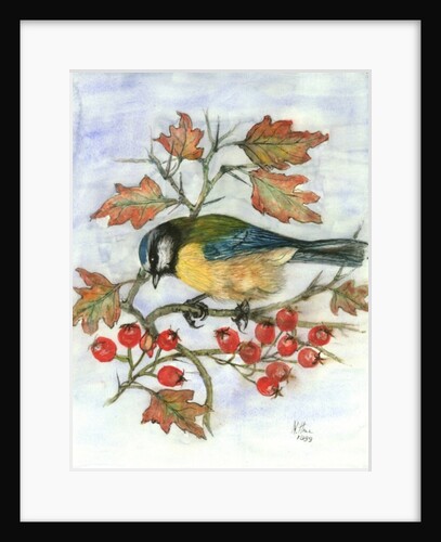 Blue Tit on Hawthorn by Nell Hill