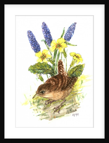 Wren in Primroses by Nell Hill