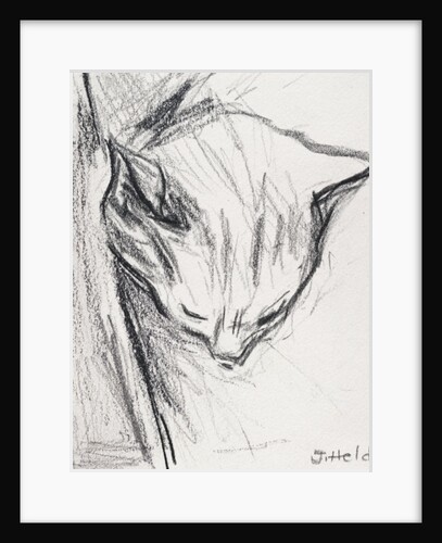 Sleeping Cat, 2015 by Julie Held