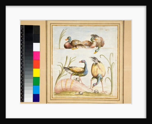 Copy of a mosaic with birds by Pietro Santi Bartoli