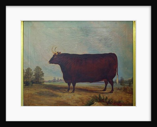 A North Devon Ox in a Landscape, 1837 by William Carmichael Baker