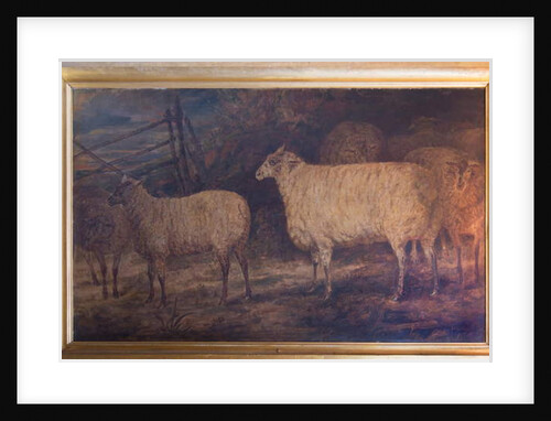 The Improvement of the South Down Breed of Sheep at Holkham in Norfolk, 1793-1807 by George Garrard
