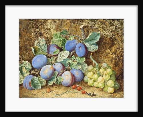 Plums and Grapes, 1877 by Thomas Collier