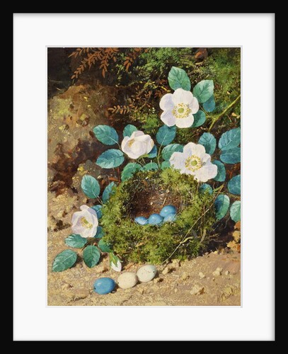 Still Life by William Cruikshank