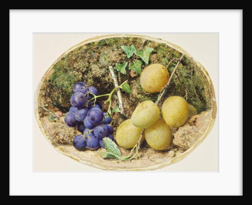 Golden Drop Plums and Black Grapes, c.1860 by William Henry Hunt