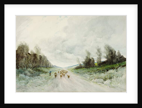 A Northumberland Road by Robert J. Hewitt