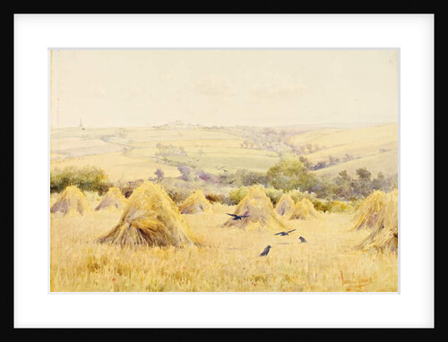 View of a Cornfield with Rooks by Harry E. James