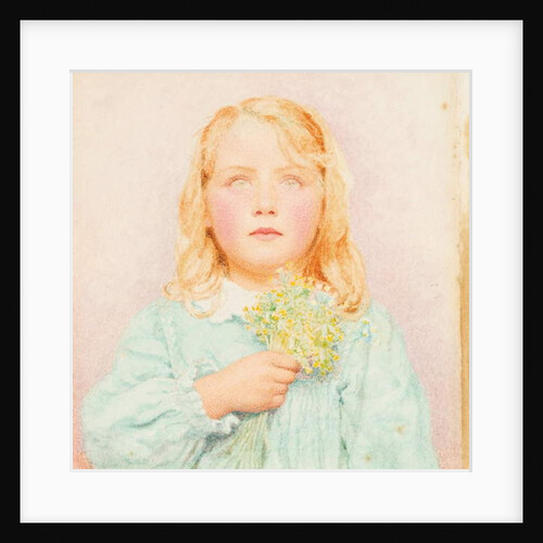 Primroses, 1904 by George Lawrence Bulleid