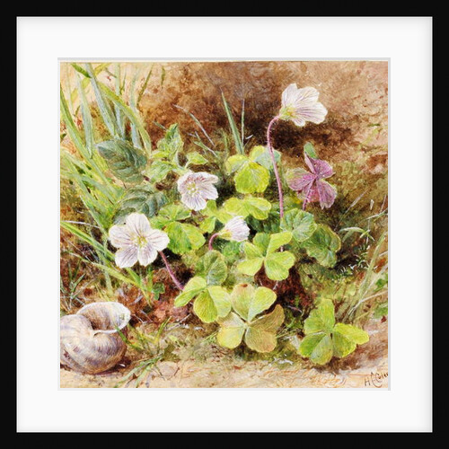 Sorrel and Shell, c.1865-74 by Helen Cordelia Coleman Angell