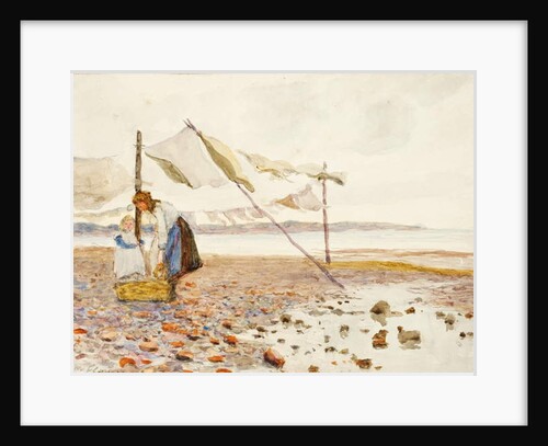 The Shore by Marmaduke C. William Flower