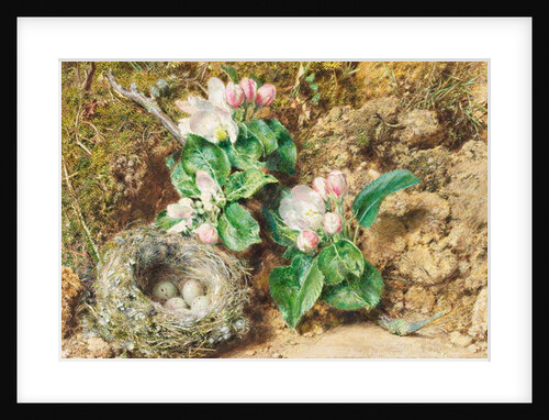 Bird's nest and apple blossom by William Henry Hunt