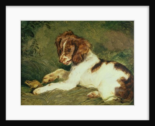 A Puppy teasing a Frog, 1824 by Edwin Landseer