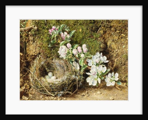 Branch of Apple Blossom and Bird's Nest by William Henry Hunt