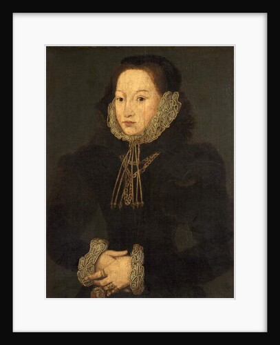 Portrait of an Unknown Lady, c.1550 by English School