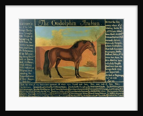 The Godolphin Arabian by Daniel Quigley