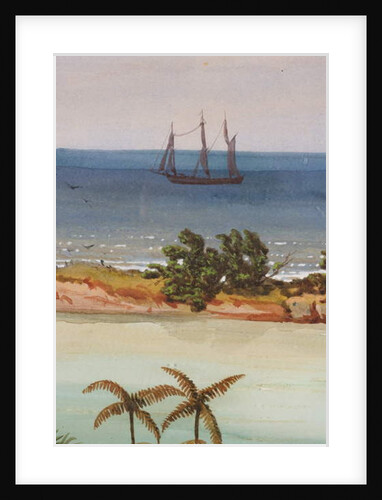 Detail of Triptych of an Atoll, 1871 by Ernest Henry Griset