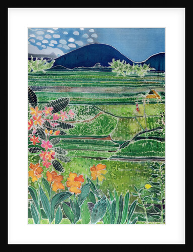 Lovina Ricefields with Lilies and Frangipani, Bali, 1996 by Hilary Simon