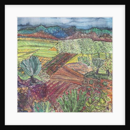 Oaxaca Landscape by Hilary Simon