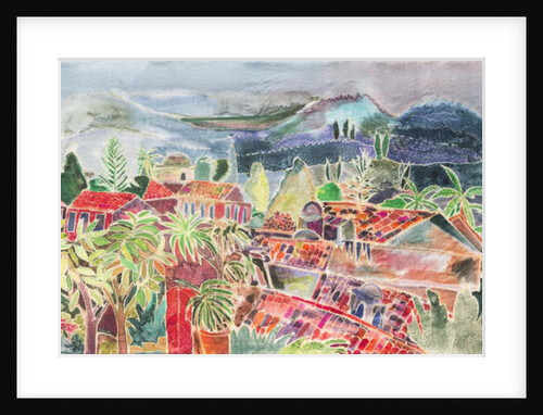 Antigua Rooftops by Hilary Simon