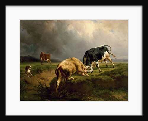 A Bull Fight, 1855 by Jacques Raymond Brascassat