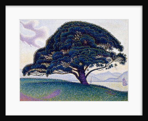The Bonaventure Pine, 1893 by Paul Signac