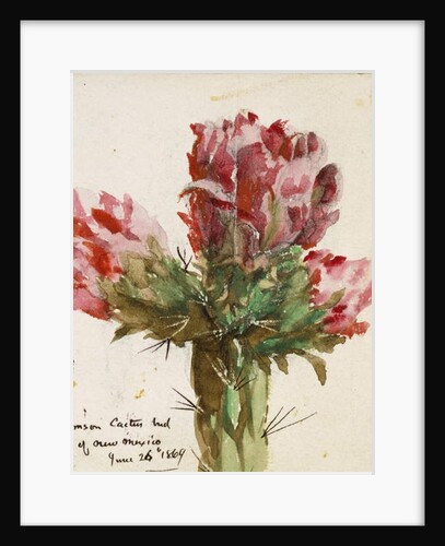 Crimson Cactus Bud of New Mexico, 1869 by Vincent Colyer