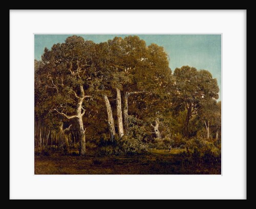 The Great Oaks of Old Bas-Breau, 1864 by Theodore Rousseau