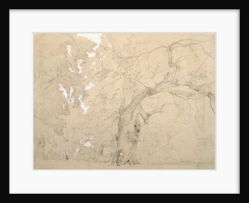 Young Man in Front of a Great Oak, c.1840 by Jean Baptiste Camille Corot