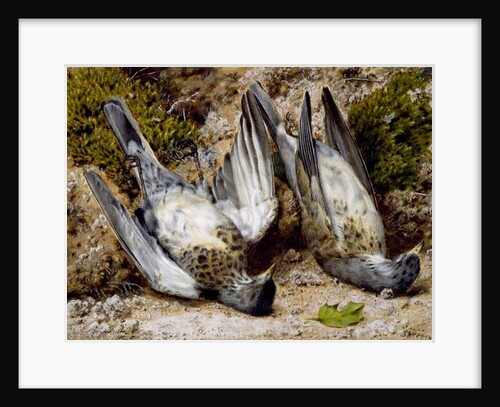 Still Life with Two Dead Birds, no date by John Sherrin