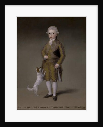 Don Vicente Isabel Osorio de Moscoso y Álvarez de Toledo, Conde de Trastámara, c.1787-88 by Francisco Jose de Goya y Lucientes
