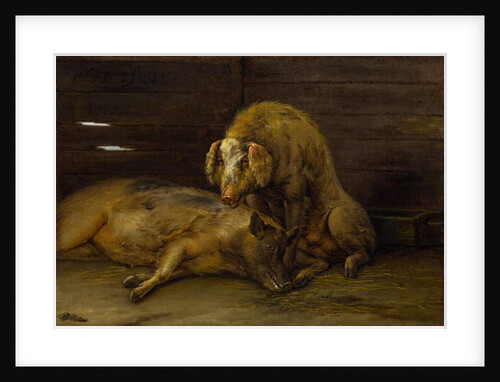 Two Pigs in a Sty, 1649 by Paulus Potter