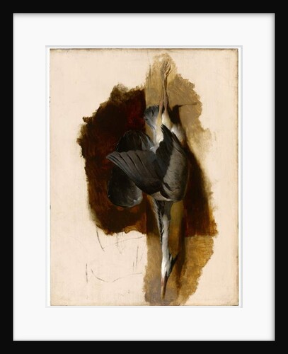 Study of a Dead Heron, c.1832-33 by Edwin Landseer