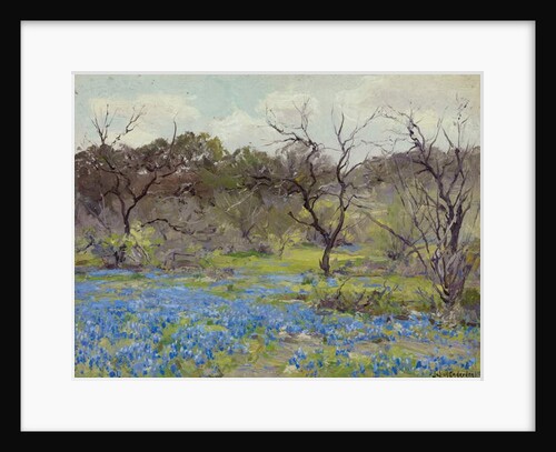 Early Spring Bluebonnets and Mesquite, 1919 by Julian Onderdonk