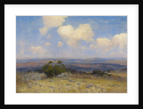 Sunlight and Shadow, 1910 by Julian Onderdonk