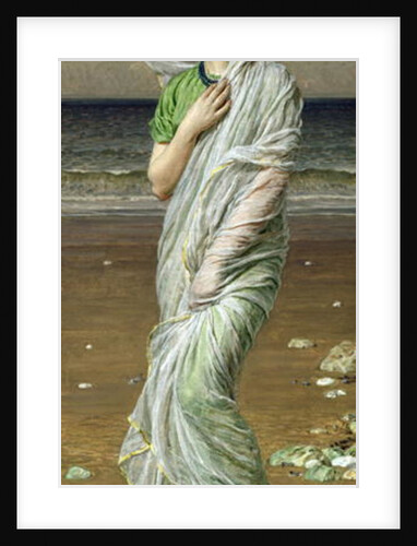 Seashells by Albert Joseph Moore