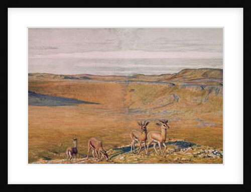 The Wilderness of Gizeh, 1854 by William Holman Hunt