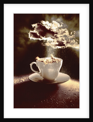 Storm in a Teacup, 1987 by Hag Hag